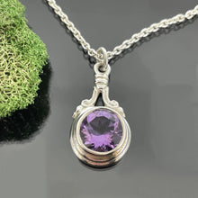 Load image into Gallery viewer, PET 1030 SS P - Amethyst