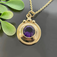 Load image into Gallery viewer, PET 877 YG P - Amethyst